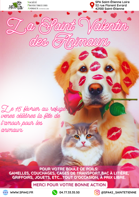 VENTE 15 février 2025 : Et si après la Saint-Valentin, vous offriez encore plus d’amour ? 💘🐾